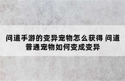 问道手游的变异宠物怎么获得 问道普通宠物如何变成变异